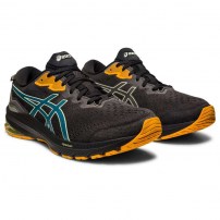 Кросівки для бігу чоловічі Asics GT-1000 11 GTX Black/Ink Teal